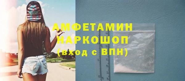 прущие грибы Аркадак